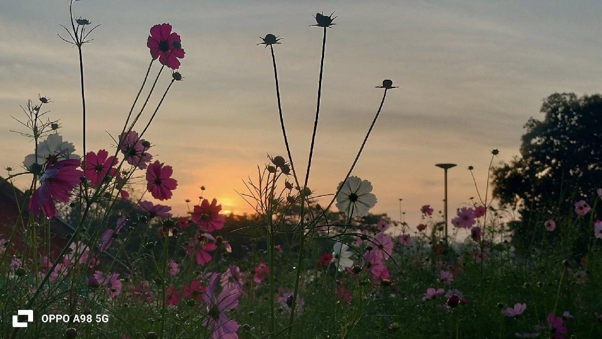 ภาพบรรยากาศ 11